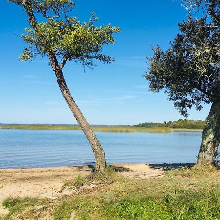 Maisonnette A 300 M Du Lac De Biscarrosse Exterior photo